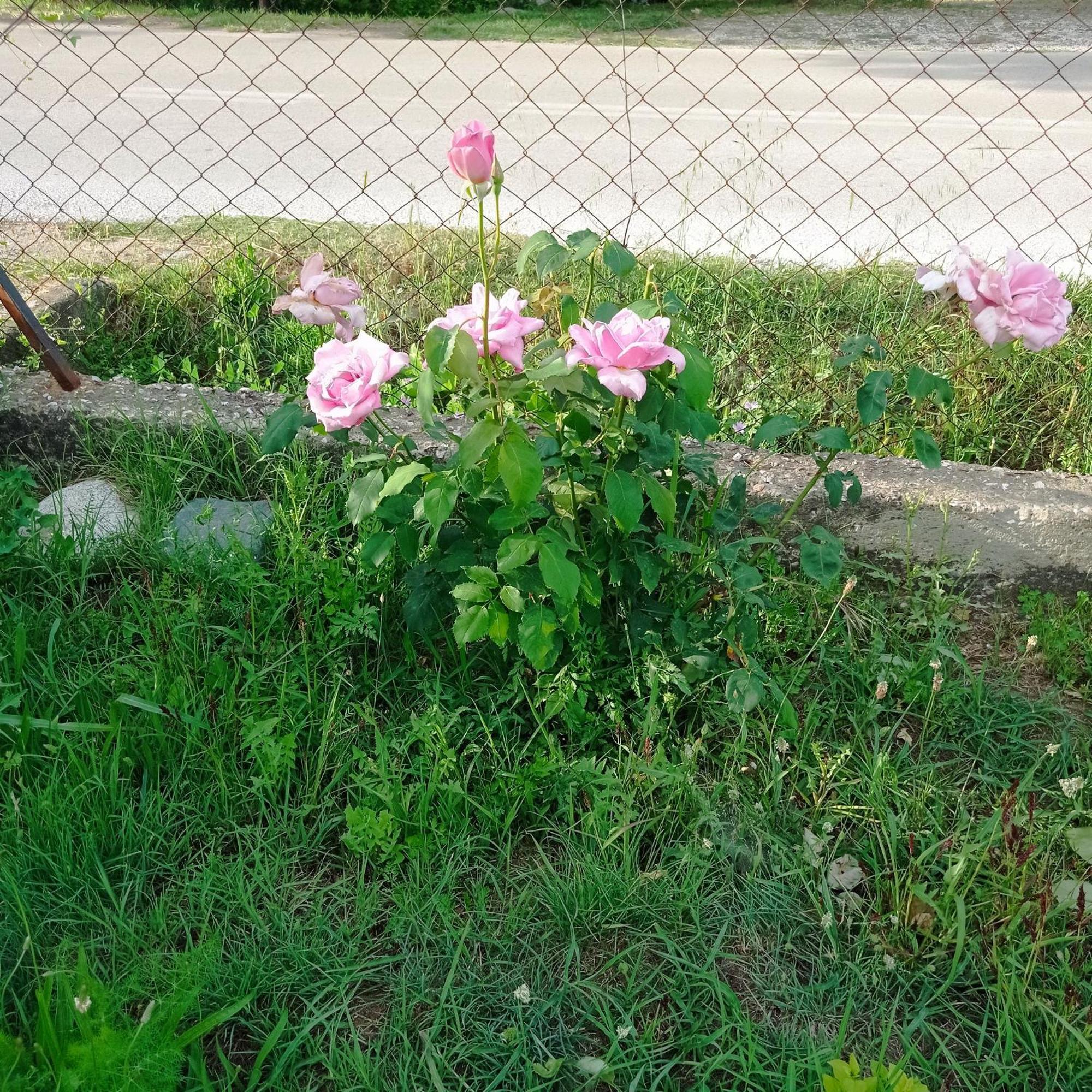 Asprovalta Rooms Kariotes 외부 사진
